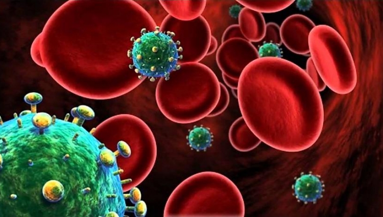 Ciclo do HIV e Aids
