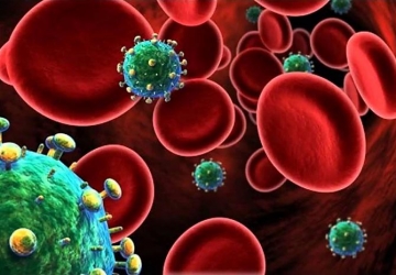 Ciclo do HIV e Aids